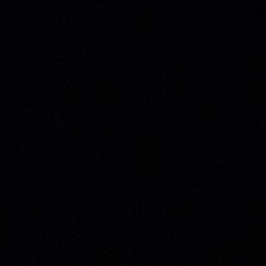 Meet your Posher, Randi